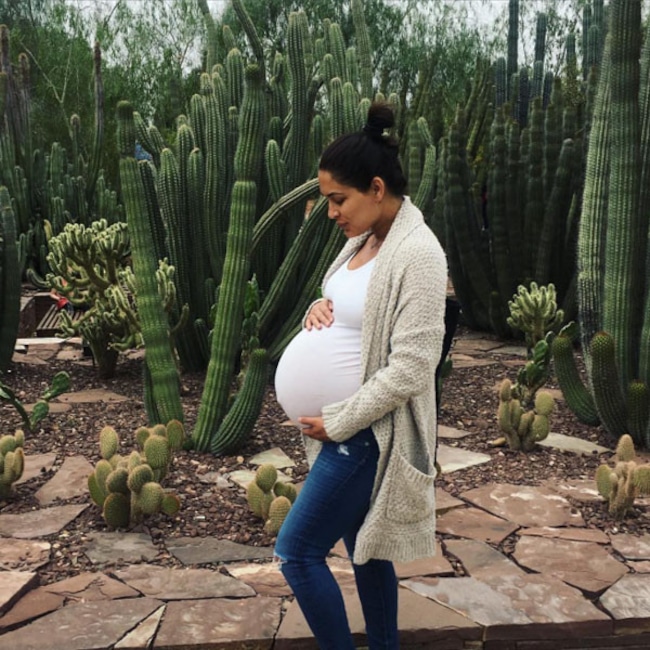 Brie Bella, Instagram